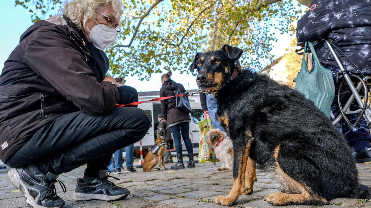 Vorbildlich: In Hannover sind Veterinäre mit einem Tierarztmobil unterwegs, um kostenlos Hunde von wohnungslosen und einkommensschwachen Menschen zu versorgen. Finanziert wird das Angebot durch eine Stiftung des Cartoonisten Uli Stein.