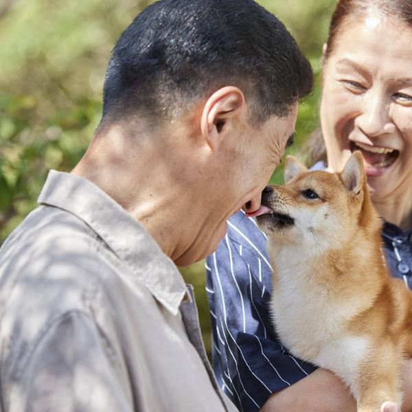 weitere interessante Hundethemen