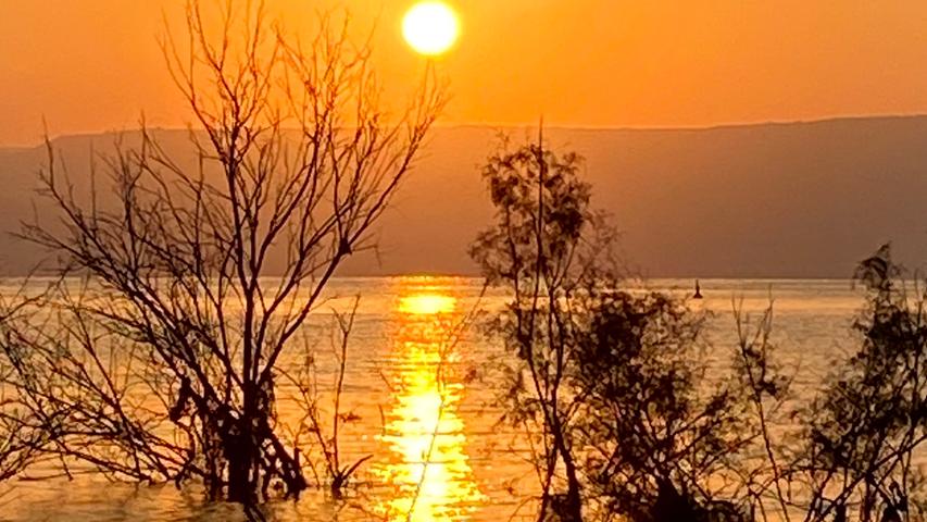 Sonnenaufgang über dem See Genezareth begeisterte die Reisegruppe.