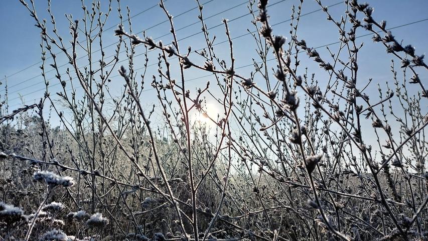 Eis und Schnee machen Gräser zu besonderen Hinguckern. Noch dazu, wenn die Sonne scheint. Mehr Leserfotos und Leserbriefe finden Sie hier.