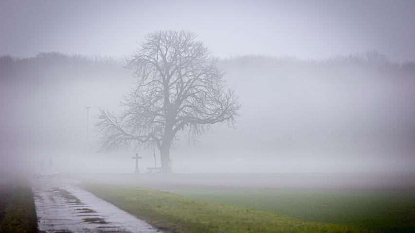 Grün statt weiß: An Weihnachten wird auch in diesem Jahr kein Schnee fallen.