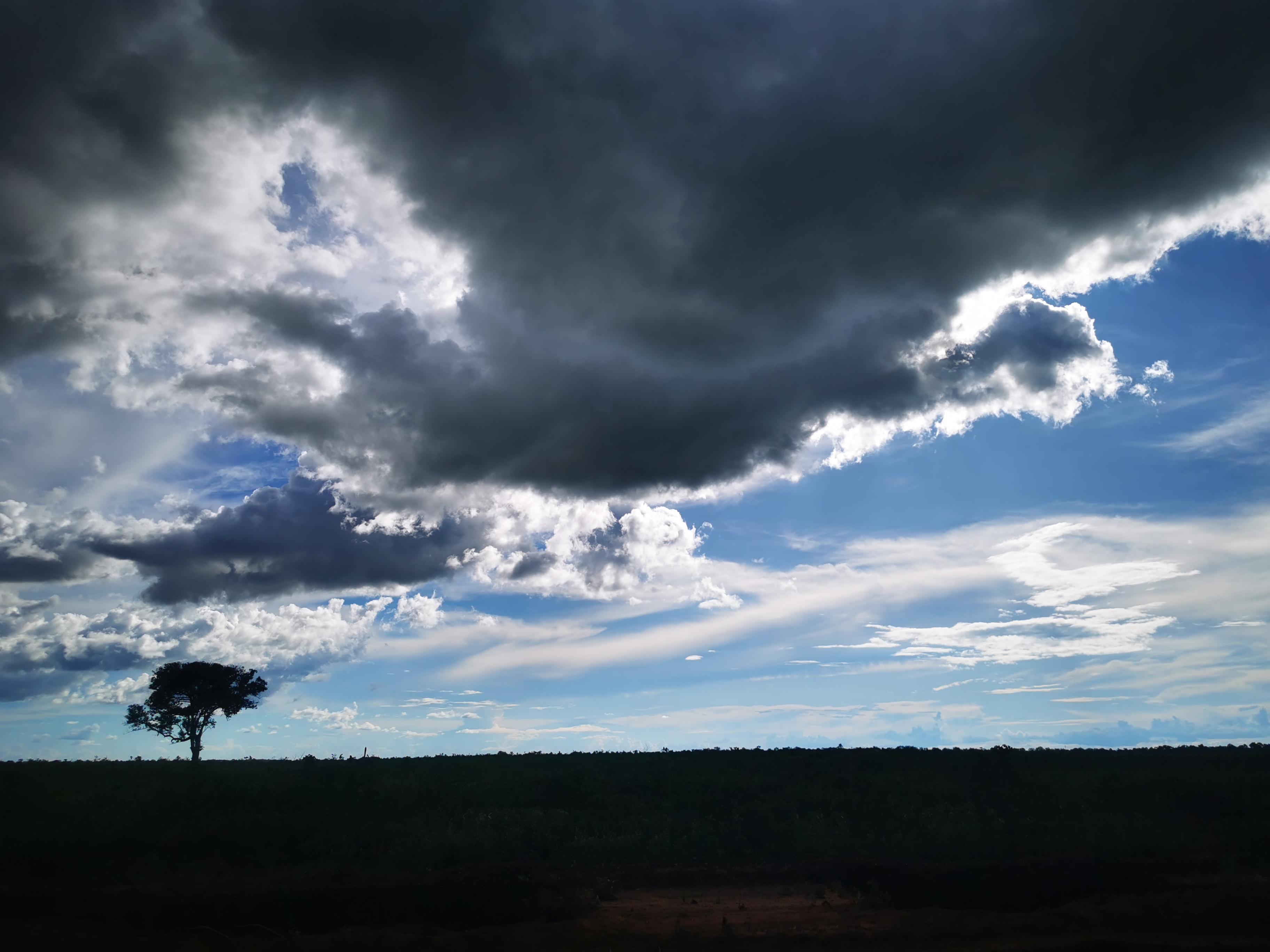 Ein einsamer Baum auf der Geländepiste Richtung Palmas. Die spannende Reisereportage zu dieser Bildergalerie lesen Sie in unserem Premium-Portal NN.