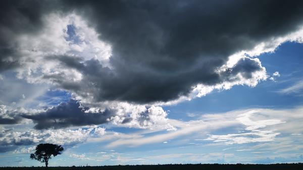 Ein einsamer Baum auf der Geländepiste Richtung Palmas. Die spannende Reisereportage zu dieser Bildergalerie lesen Sie in unserem Premium-Portal NN.