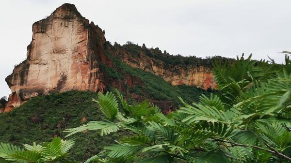 "Kathedrale" wird diese Felsformation in Jalapao genannt.