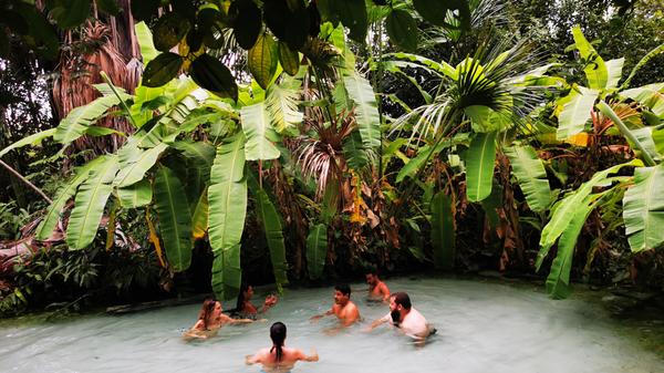 In der Lagune von Fervedouro Bela Vista sprudelt Süßwasser aus 17 Metern Tiefe und wird für Badende zum paradiesischen Sprudelbecken. Die spannende Reisereportage zu dieser Bildergalerie lesen Sie in unserem Premium-Portal NN.