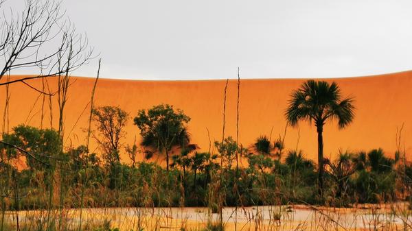 Vor den Dünen von Jalapao bilden sich während der Regenzeit Wasserbecken. Die spannende Reisereportage zu dieser Bildergalerie lesen Sie in unserem Premium-Portal NN.