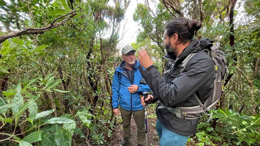 Wer sich nicht alleine auf den Wanderwegen auf Faial unterwegs sein möchte, kann das Beispielsweise mit einem Guide von "our island" machen. Pedro Escobar (rechts) erklärt hier die Pflanzenwelt neben den Wegen.