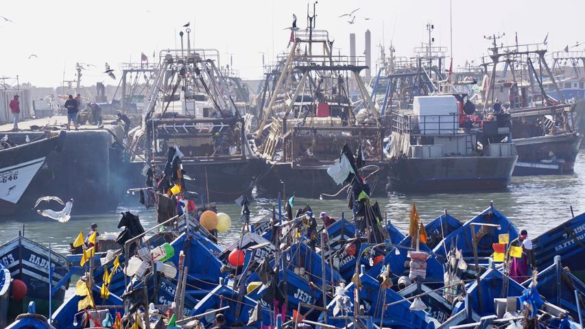 Direkt am historischen Hafen liegen auch die aktiven Fischerboote. Wer zur rechten Zeit kommt, kann auch die Fischer bei der Arbeit beobachten, wenn sie ihren Fang aufs Land verfrachten.