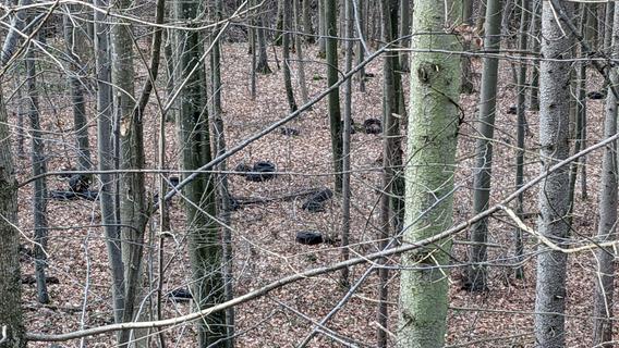 Reifen im Weißenburger Wald entsorgt