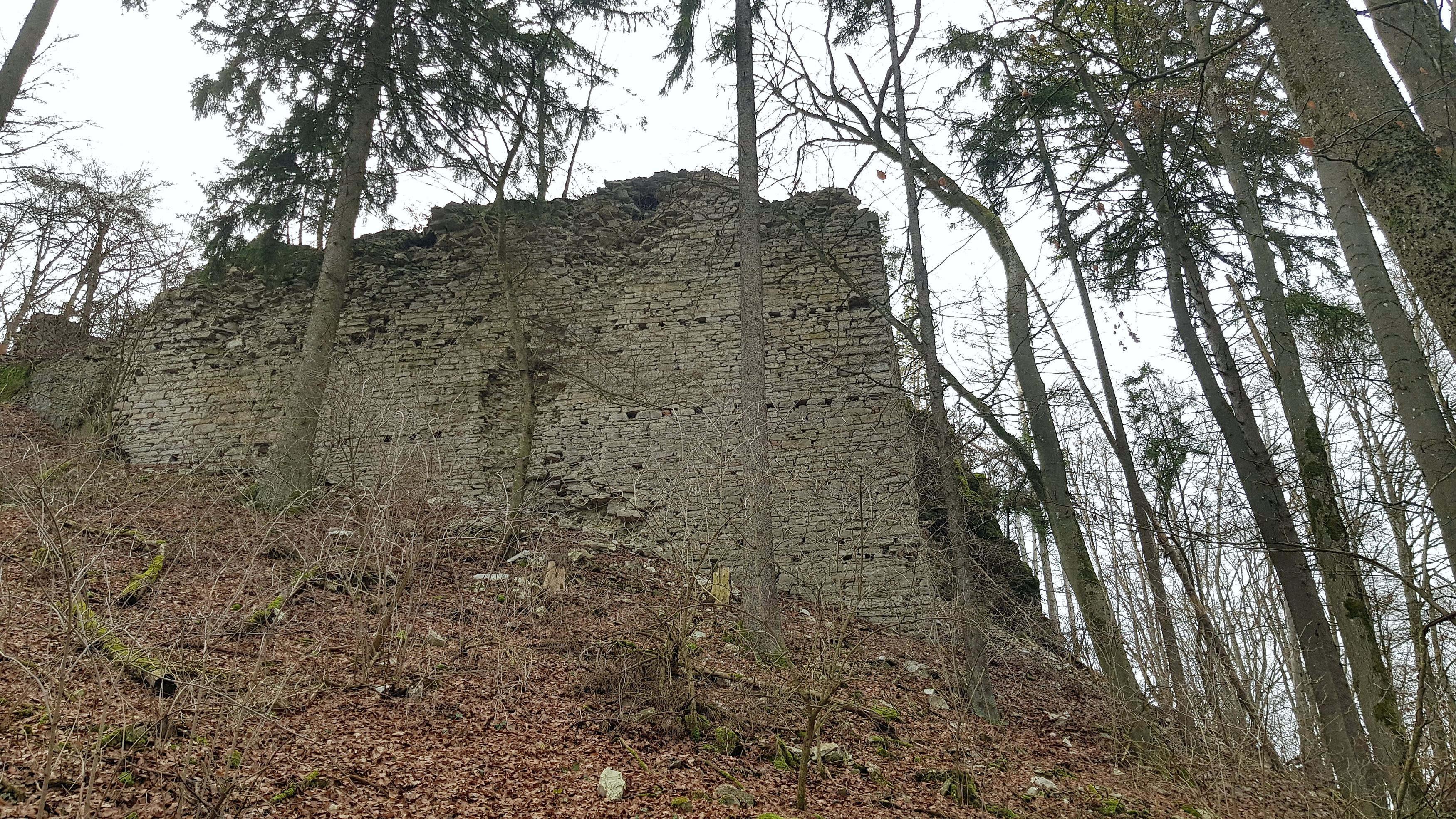 Wie ein Verein das einst prächtige Schloss Helfenberg wachküssen möchte