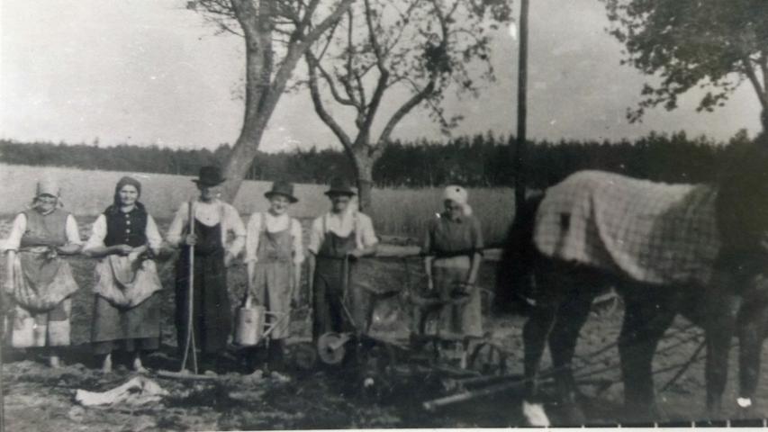 Die Familie Heinrich Müller beim Tabakpflanzen im Schwander Weg - vermutlich ebenfalls in den 1930er Jahren. Das Bild stamm aus dem Museum in Schwanstetten. 