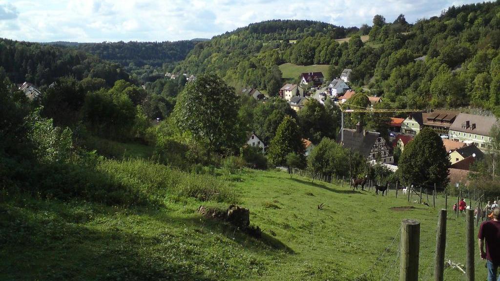 Blick ins Haunritztal. Wie soll Natur aussehen - und was ist nützlich, was ist schön? Blick ins Haunritztal. Wie soll Natur aussehen - und was ist nützlich, was ist schön?