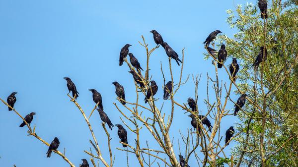 imago images 101364429