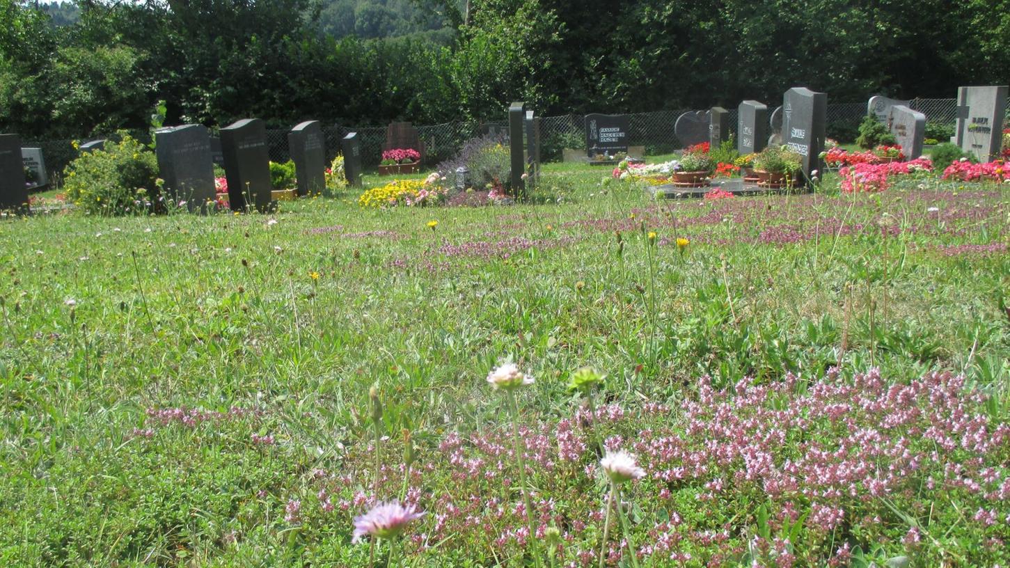 Den Kirchensittenbacher Friedhof ziert eine hochwertige, magere Thymianwiese.  