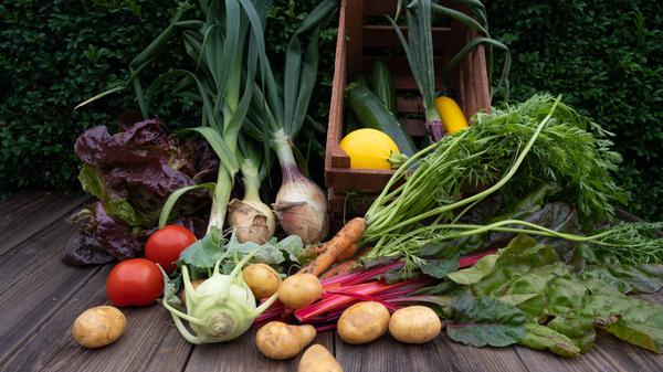 4c-rhv-bio-gemuese-imago