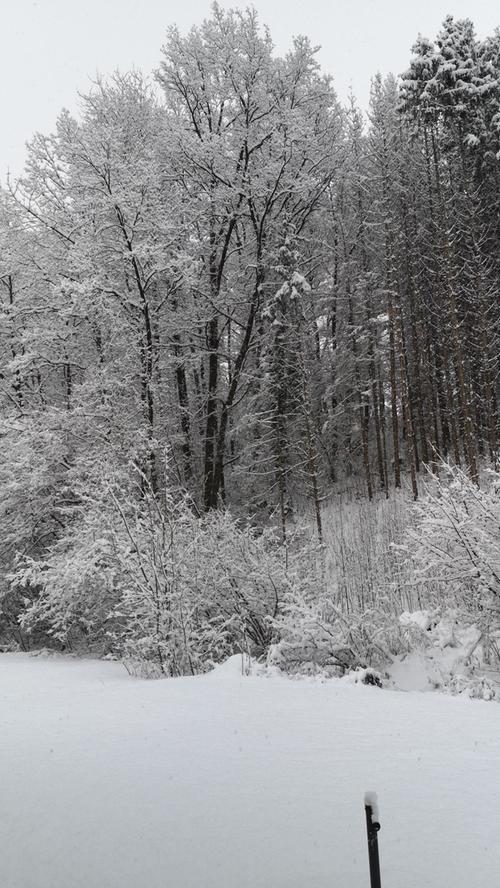 Winterwunderland Franken: Das sind die schönsten Schneebilder unserer User