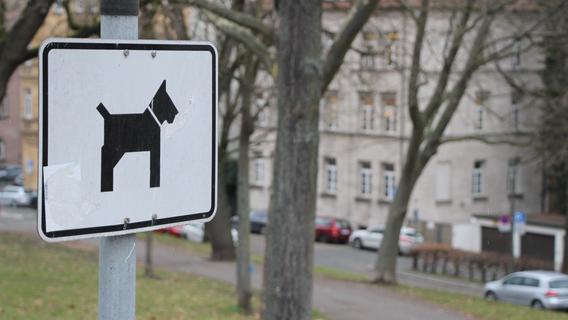 Leinen los! Feucht schaut sich Nürnberger Hundezonen ab