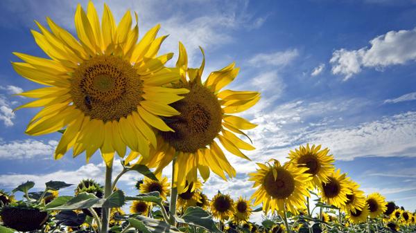 imago images 0198111764