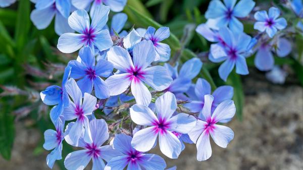 PantherMedia 32153394