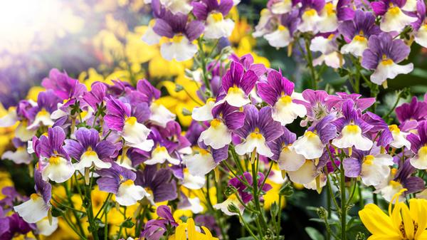 imago images 143393145