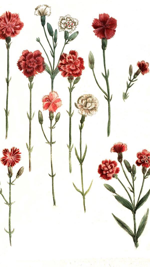 imago images 0197749032