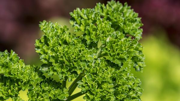 imago images 194918715