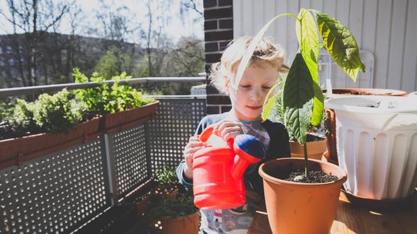 imago images 101249021