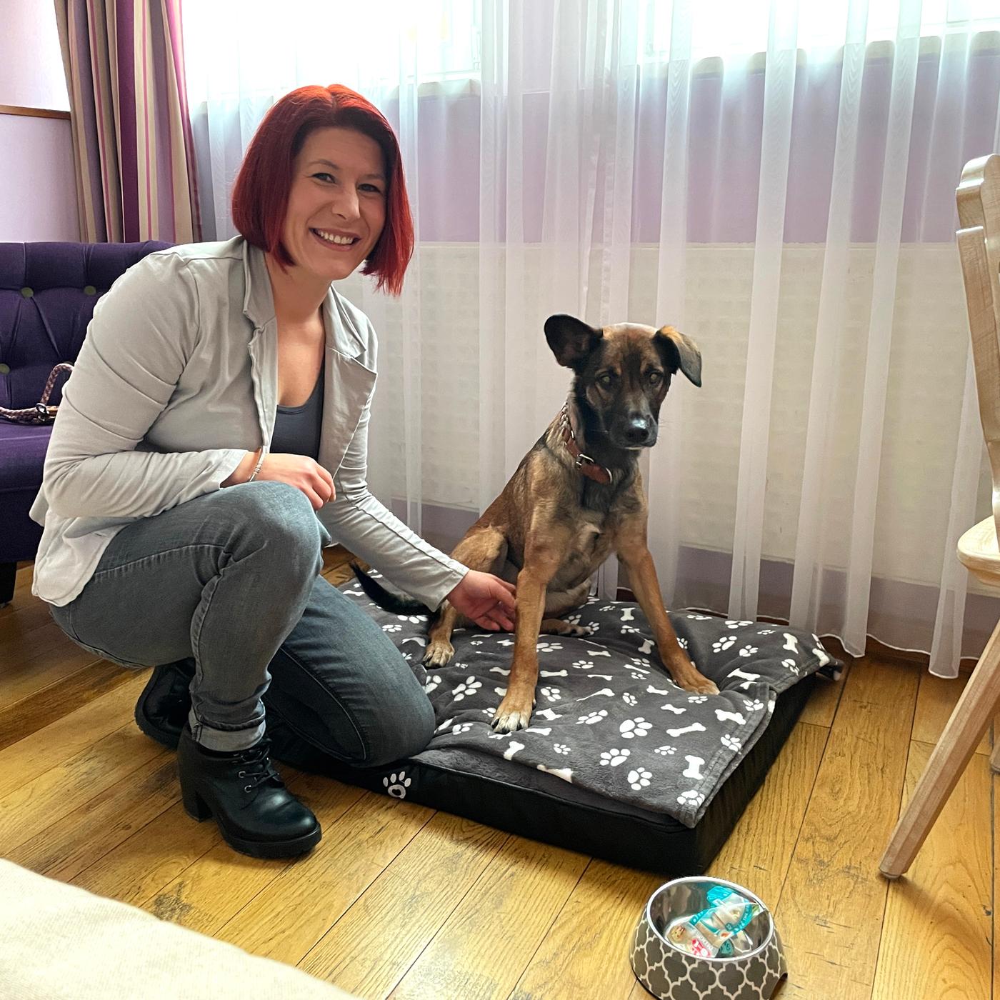 Übernachtung mit Hund Nürnberg: Das Hotel Elch besonders tierfreundlich | Nordbayern