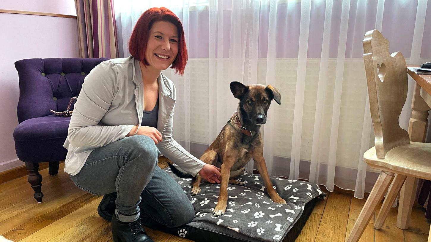Probeliegen im Bettchen: Jessica Stark, Direktorin des Hotel Elch in Nürnberg, mit ihrem Schäferhundmischling Emmy in einem der Hotelzimmer. Probeliegen im Bettchen: Jessica Stark, Direktorin des Hotel Elch in Nürnberg, mit ihrem Schäferhundmischling Emmy in einem der Hotelzimmer.