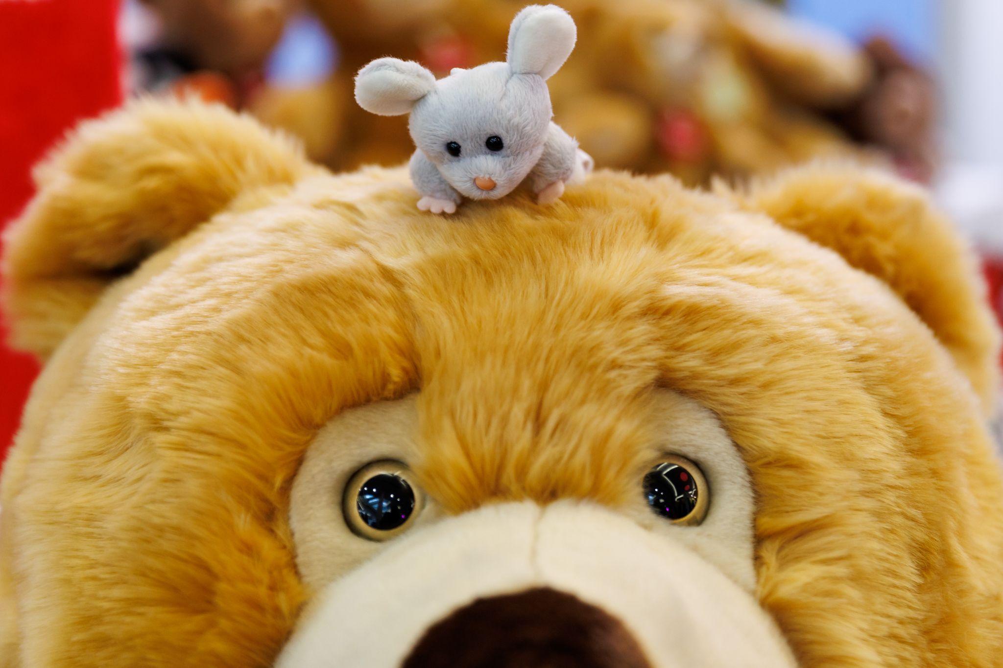 Auch Klassiker kommen nicht aus der Mode. Teddy "Ettore" von der Firma Trudi schaut knuffig wie eh und je, hat im Bauch aber mittlerweile zu feinen Fäden geschredderte PET-Flaschen. Einen spürbaren Unterschied gibt es nicht. 