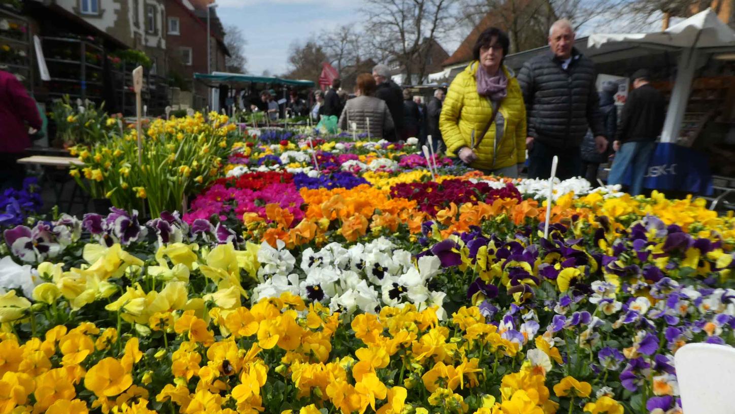 Der „Lichtmessmarkt“ in Neustadt/Aisch soll auf den Frühling einstimmen.