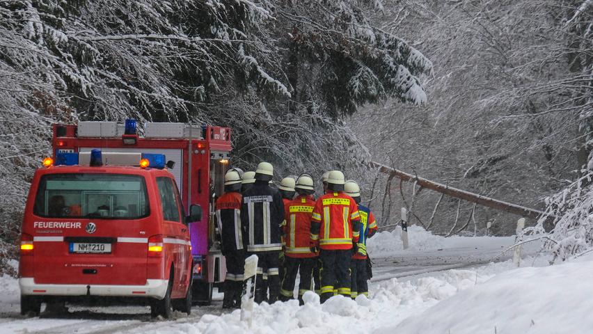 Bei Haslach war ein Baum unter der Last des Schnees umgefallen und in die Stromleitung gekracht.