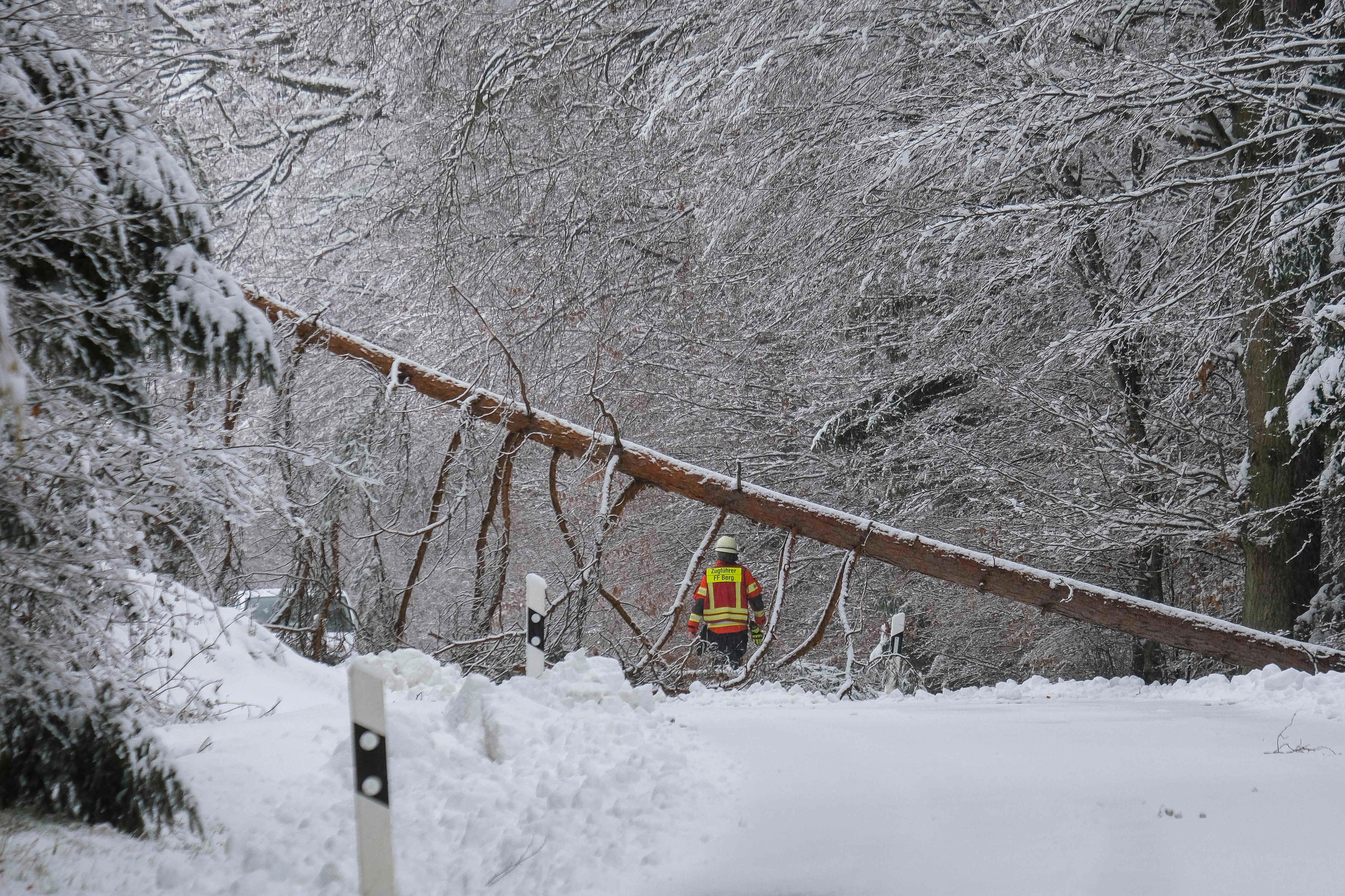 Da die Leitung noch unter Spannung stand, konnte  die Feuerwehr zuerst nichts unternehmen.