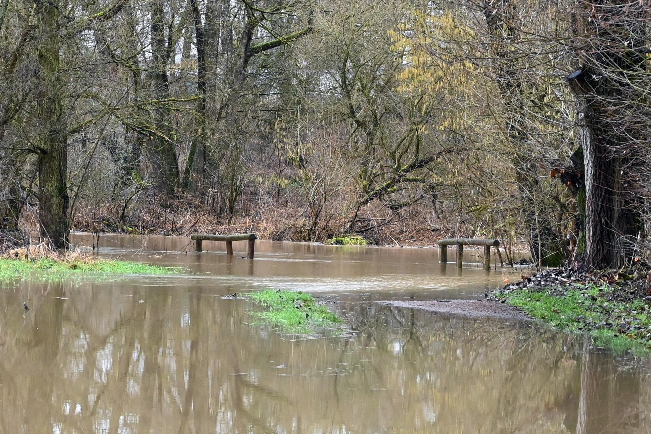 Hochwasser im Bereich Sieglitzhof.