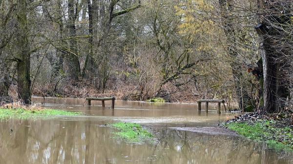 Hochwasser im Bereich Sieglitzhof.