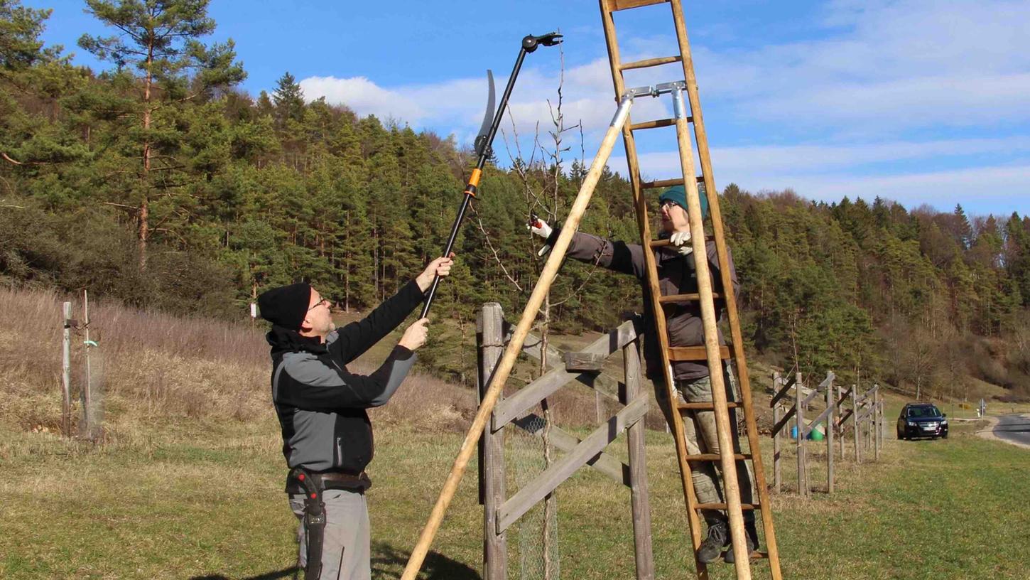 Udo Holweg, zertifizierter Obstbaumpfleger und Baumwart der Gemeinde Etzelwang, bietet Ende Februar einen Zweitages-Obstbaumkurs für Einsteiger an.