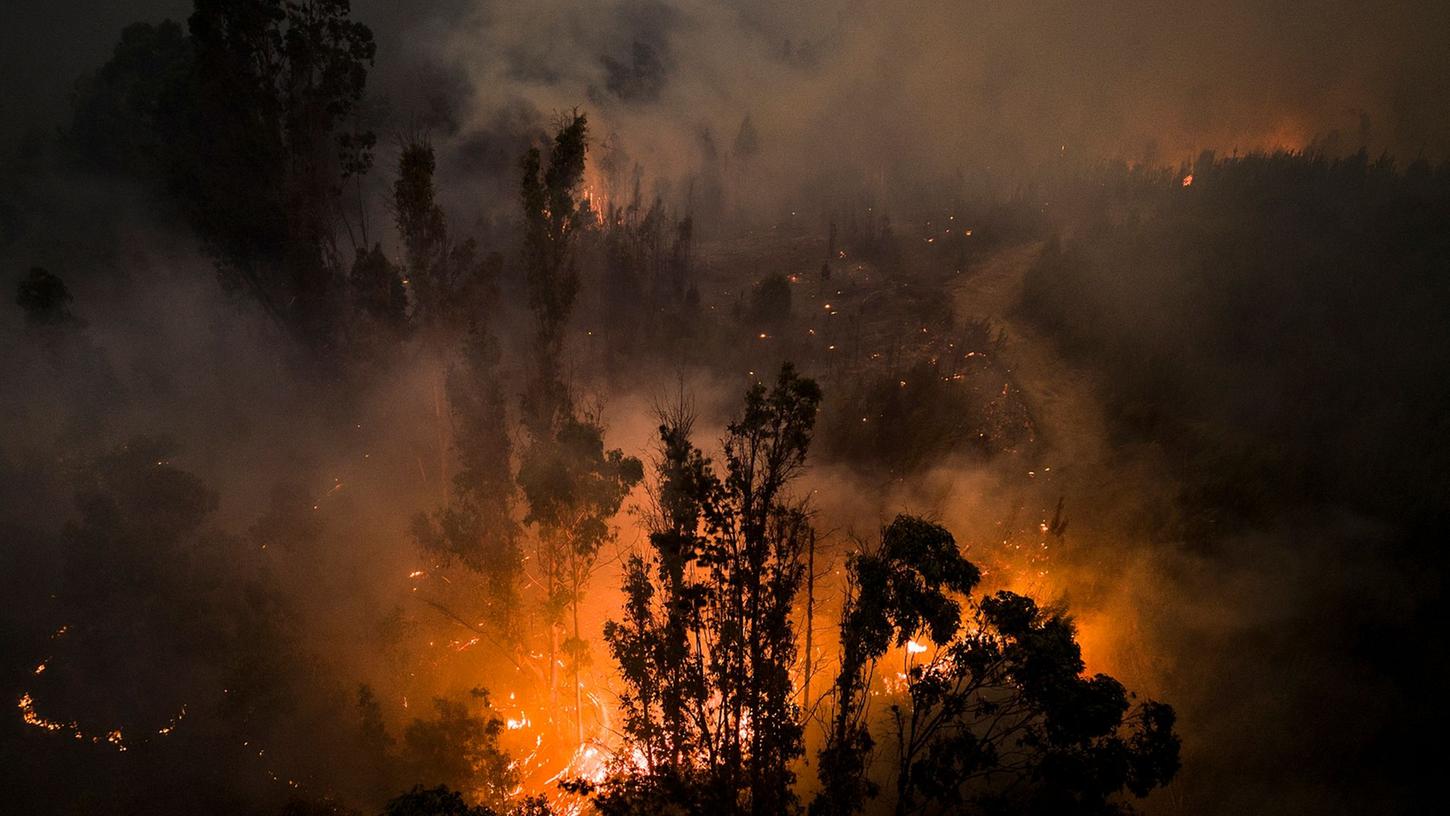 Tote, Vermisste und zahlreiche Verletzte - die Flammen im Süden Chiles sind nicht zu bändigen.