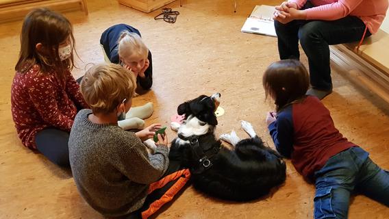 Kinderbetreuung in Schwabach: Darum braucht das Familienzentrum Känguruh Hilfe von der Stadt