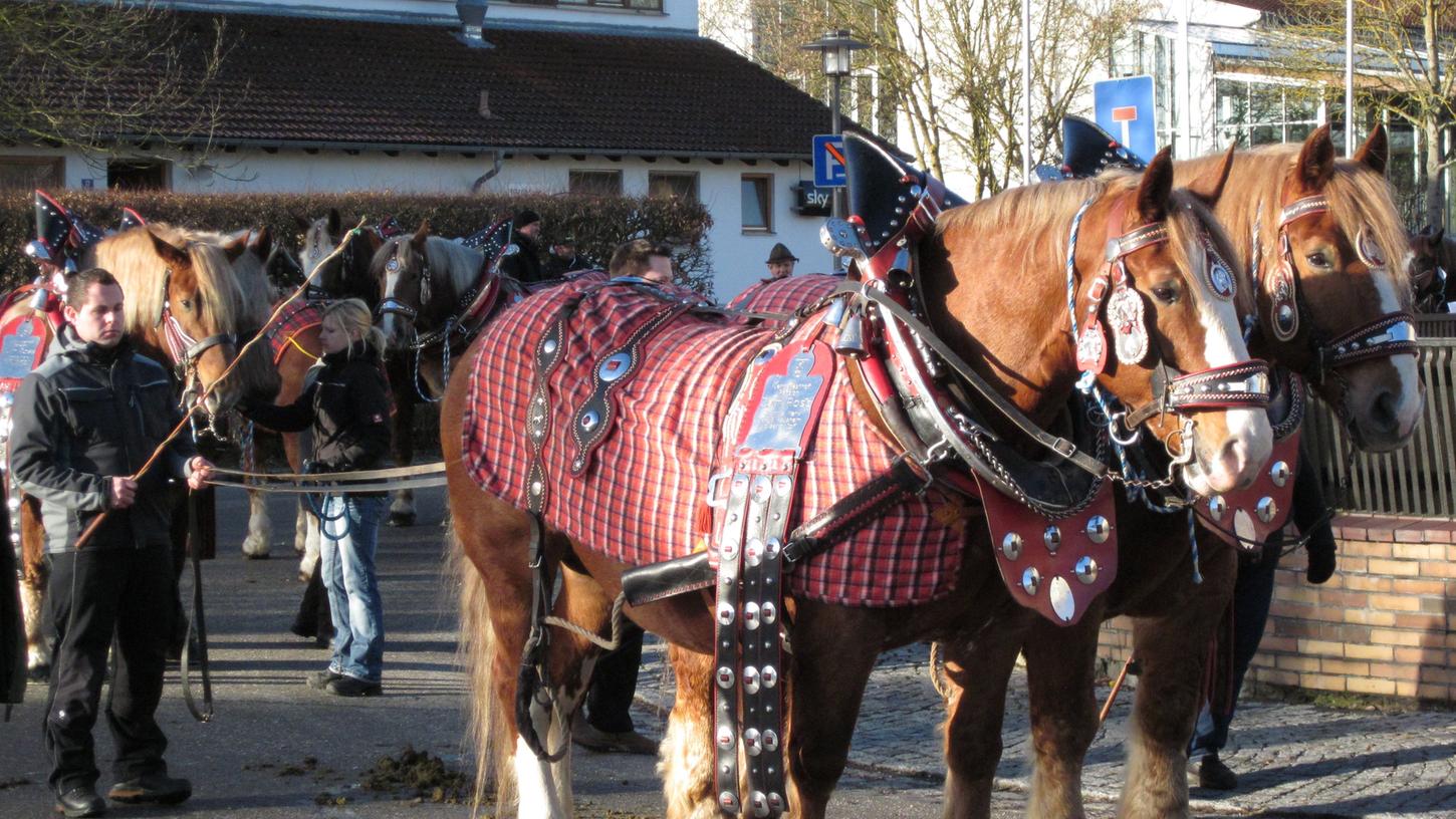 Familie Marx aus Hausheim bei Berg nimmt mit ihren Kaltblütern am Rossmarkt teil. Familie Marx aus Hausheim bei Berg nimmt mit ihren Kaltblütern am Rossmarkt teil.
