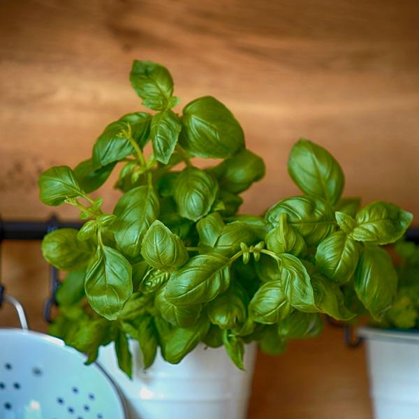 weitere interessante Themen: