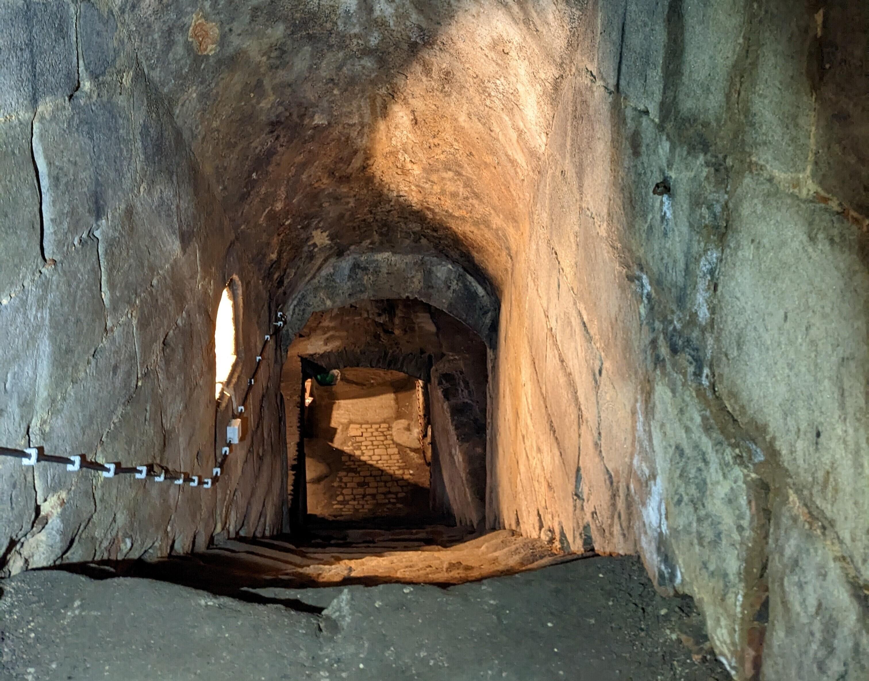 pxl_20230131_133326780_night_2-crop - 1