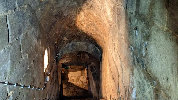 pxl_20230131_133326780_night_2-crop - 1