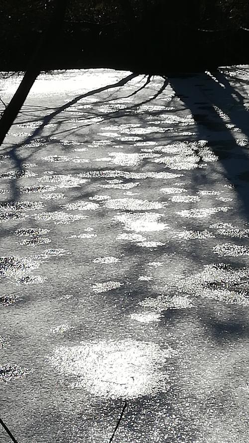 Am Langseebad in Nürnberg lässt die Sonne die auf dem Eis noch vorhandenen Schneetupfer glitzern. Mehr Leserfotos finden Sie hier.