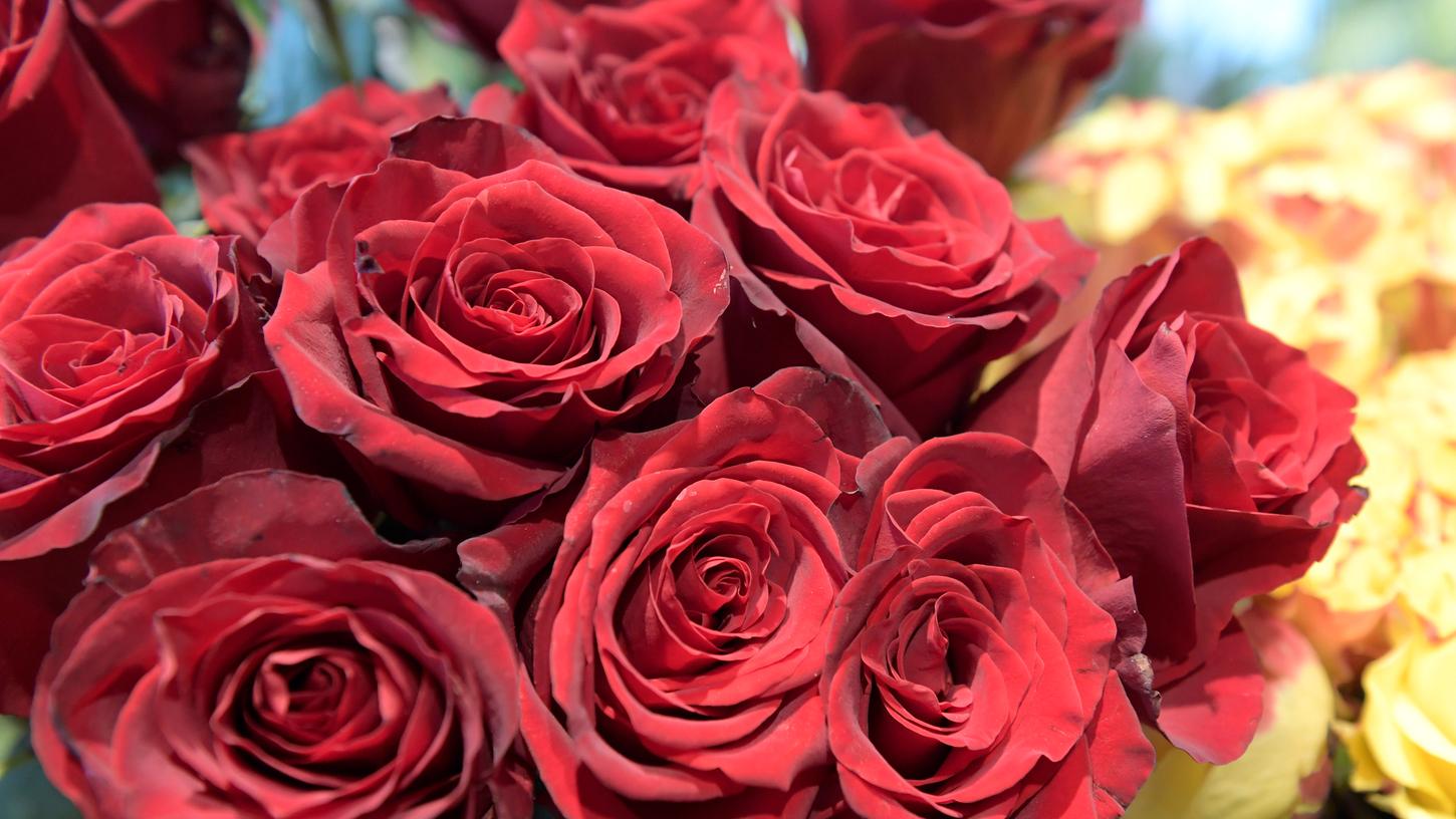 Nur Rosen zum Valentinstag oder doch lieber etwas Gemeinsames unternehmen?