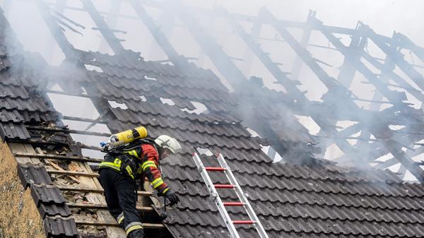 Die Elch-Bräu besteht seit 2007 in Thuisbronn.