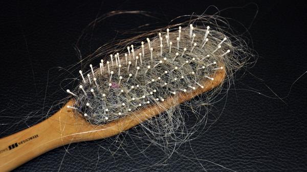imago54644192.jpg