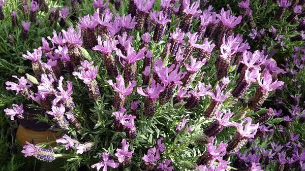 PantherMedia 29142861