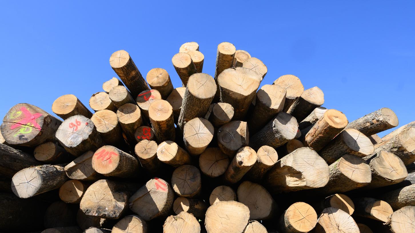 Holz (Symbolbild) verlor ein umgekippter Laster auf der A7 Richtung Süden.