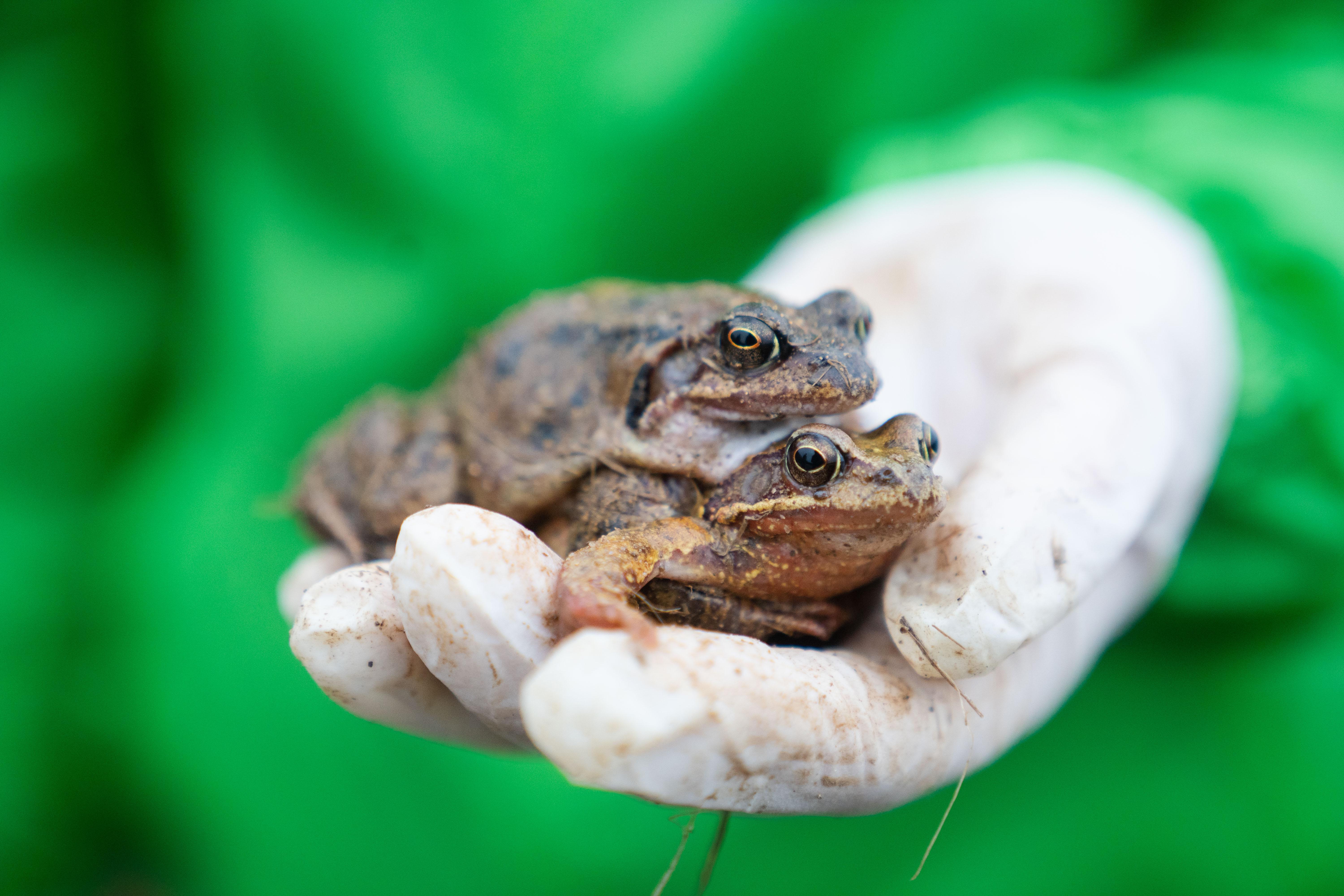 HüpferlingeAlarm Darum wird eine Steige in der Nähe von Ansbach für