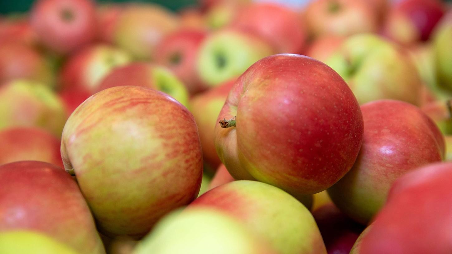 Nach Gemüse könnten in Großbritannien nach Einschätzung von Landwirten auch Äpfel und Birnen knapp werden.